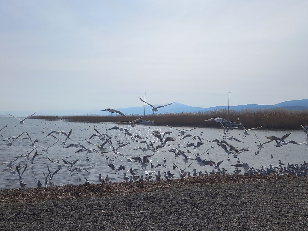 Photograph by Антица Павлеска