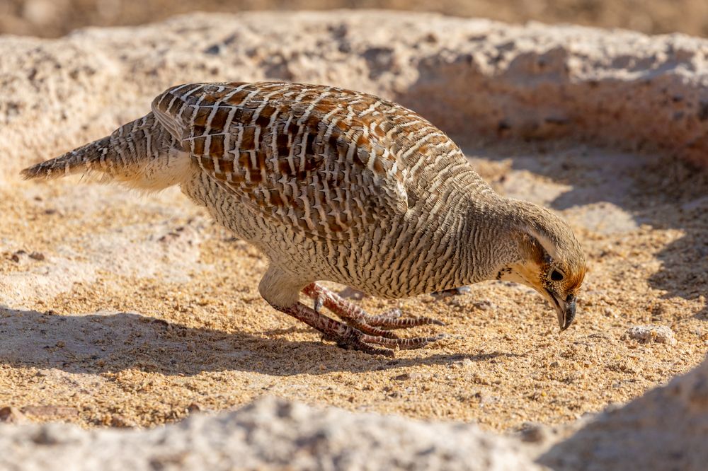 Photograph by Калинин Игорь