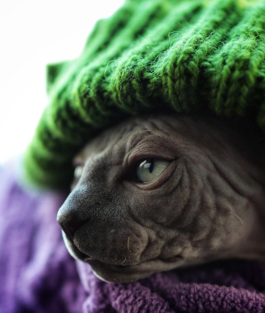 Photograph by Ирина Воробьева