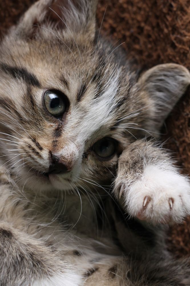 Photograph by Amir Hassanpour