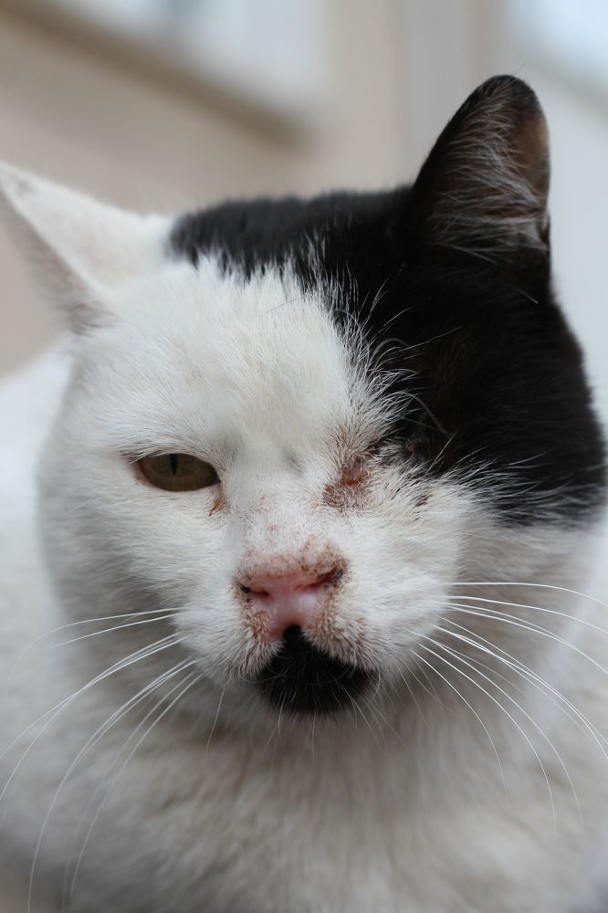 Photograph by Amir Hassanpour