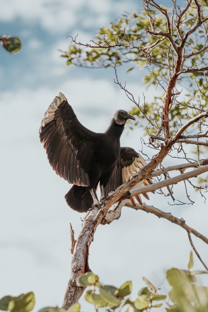 Photograph by Виктория Юськевич