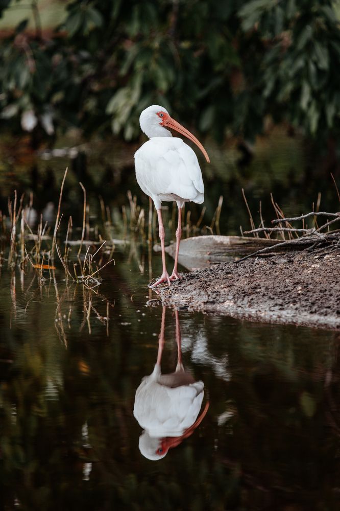 Photograph by Виктория Юськевич
