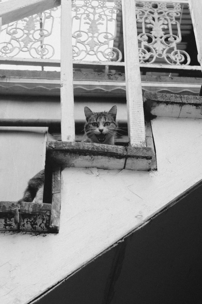 Photograph by Konstantin Zhuykov