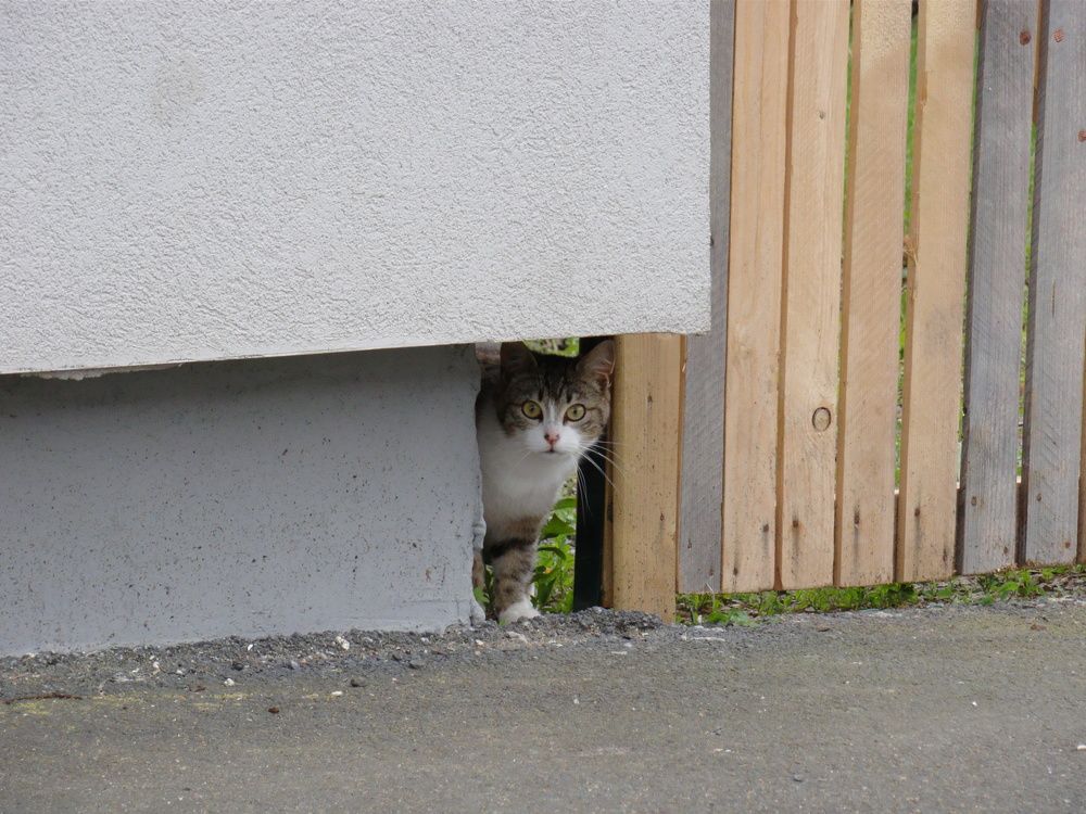 Photograph by Burdikova Inna