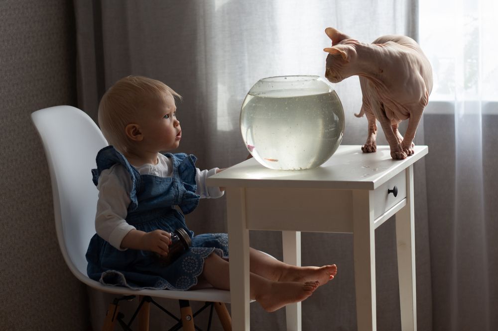 Photograph by Наталья Семенкова