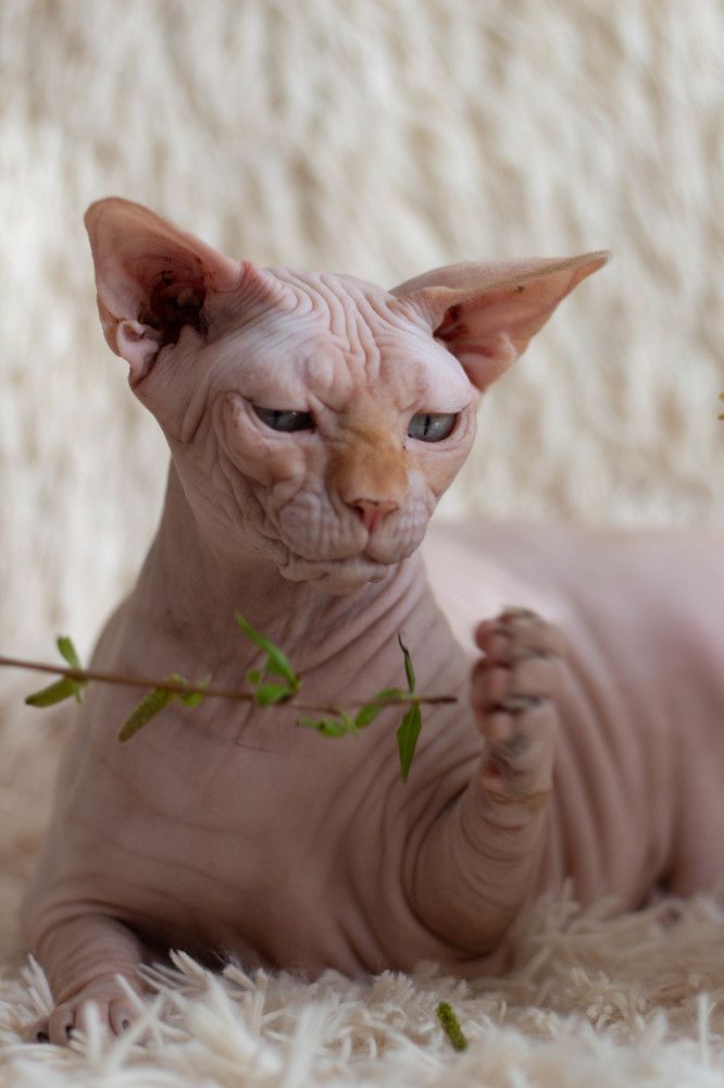 Photograph by Наталья Семенкова