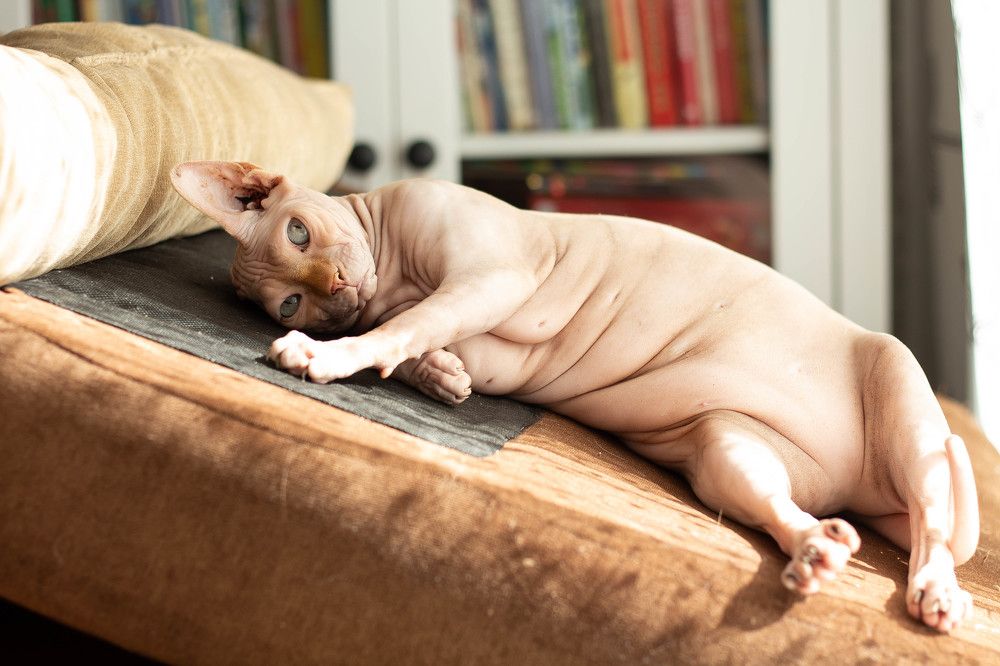 Photograph by Наталья Семенкова