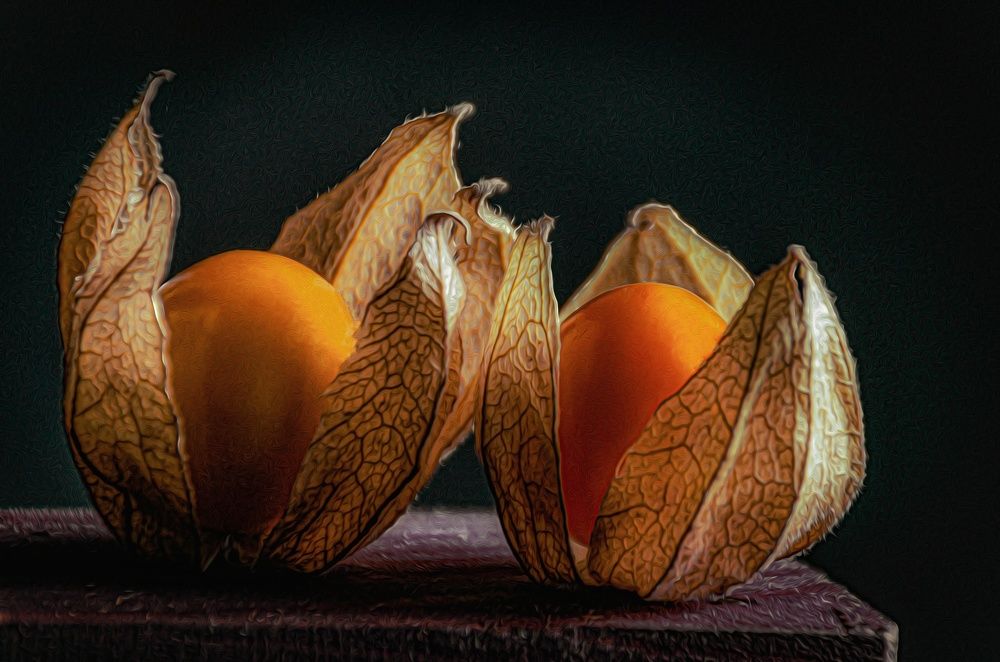 Photograph by Yasmin Elsharma