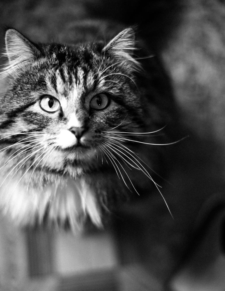 Photograph by Ksenia Ivashko