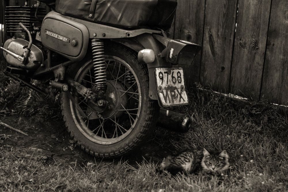 Photograph by Ksenia Ivashko