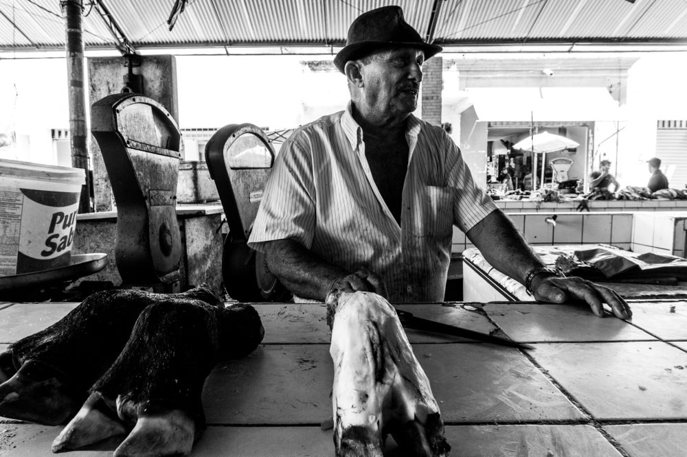 Photograph by Eline Marrieth