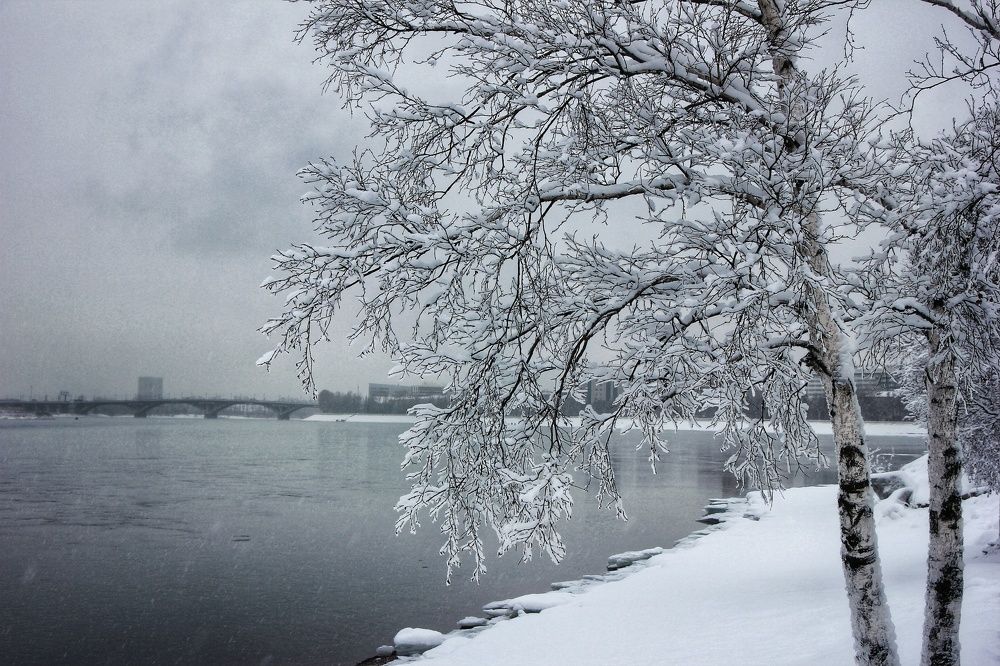 Photograph by Владимир Сушкин