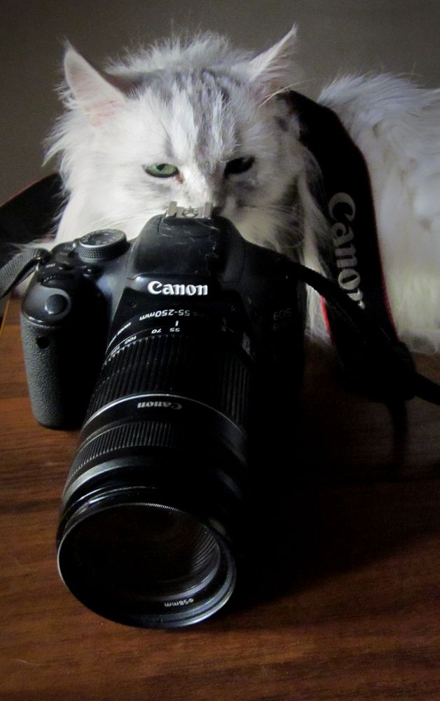 Photograph by Игорь Быков