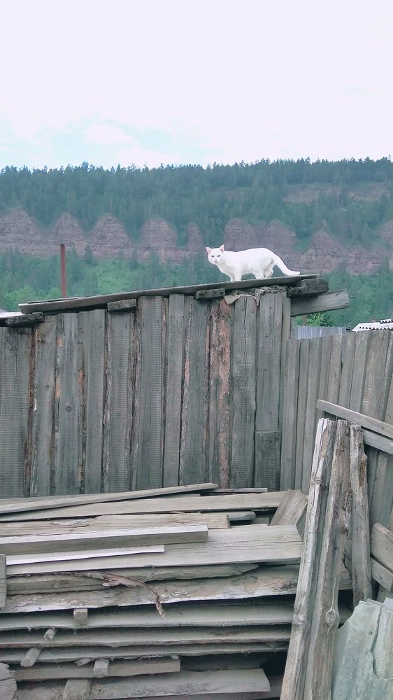 Photograph by Ирина Корнева