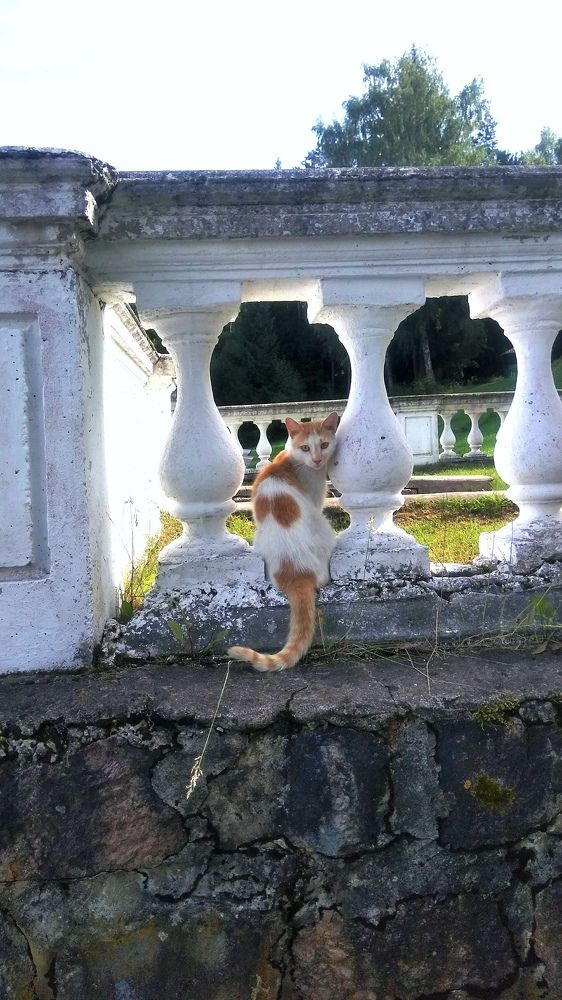 Photograph by Ирина Корнева