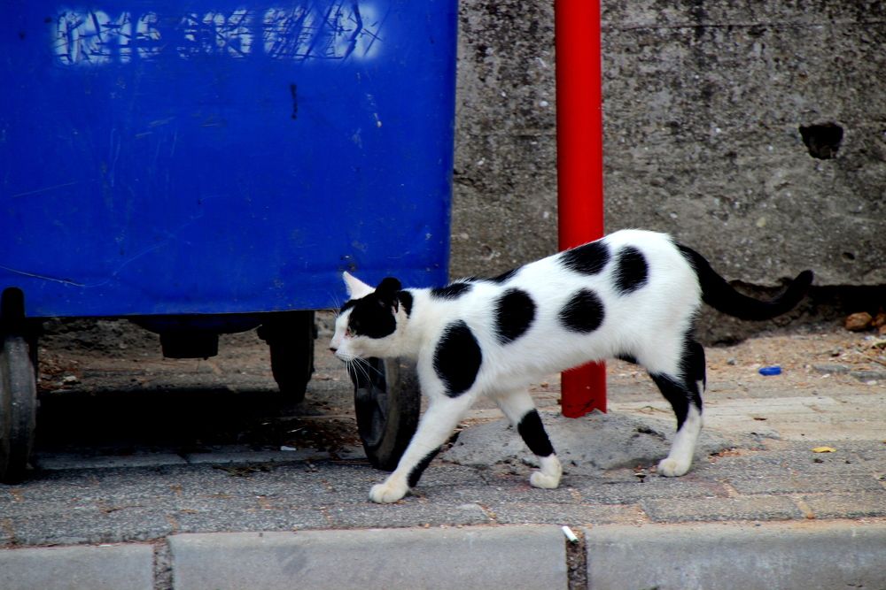 Photograph by Жанна Валиева