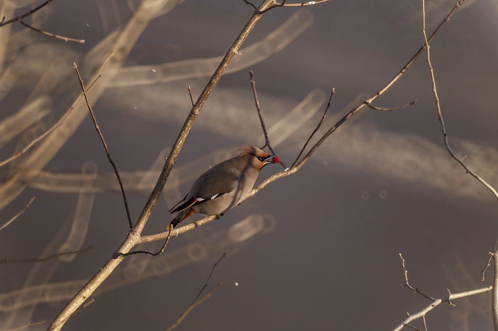 Photograph by ALEKSANDR KUZNETSOV