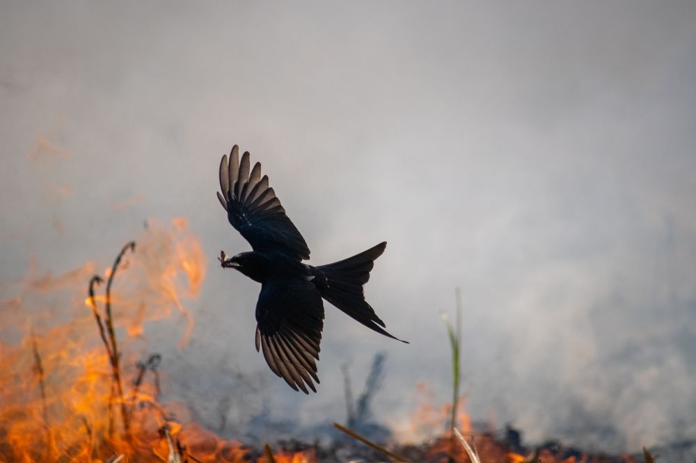 Photograph by Santosh Shelke