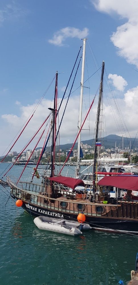 Фотография автора Ольга Мусина