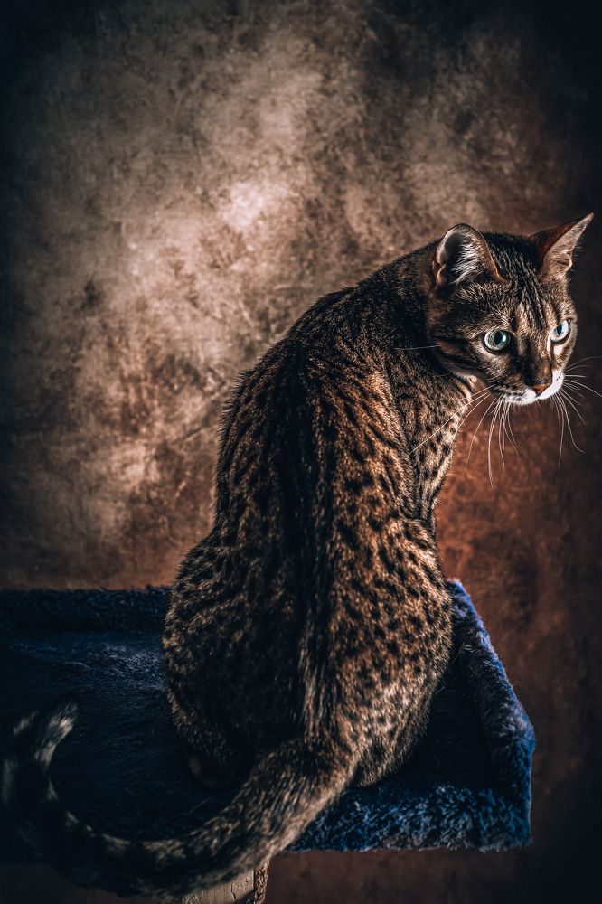 Photograph by Богдан Тарасов