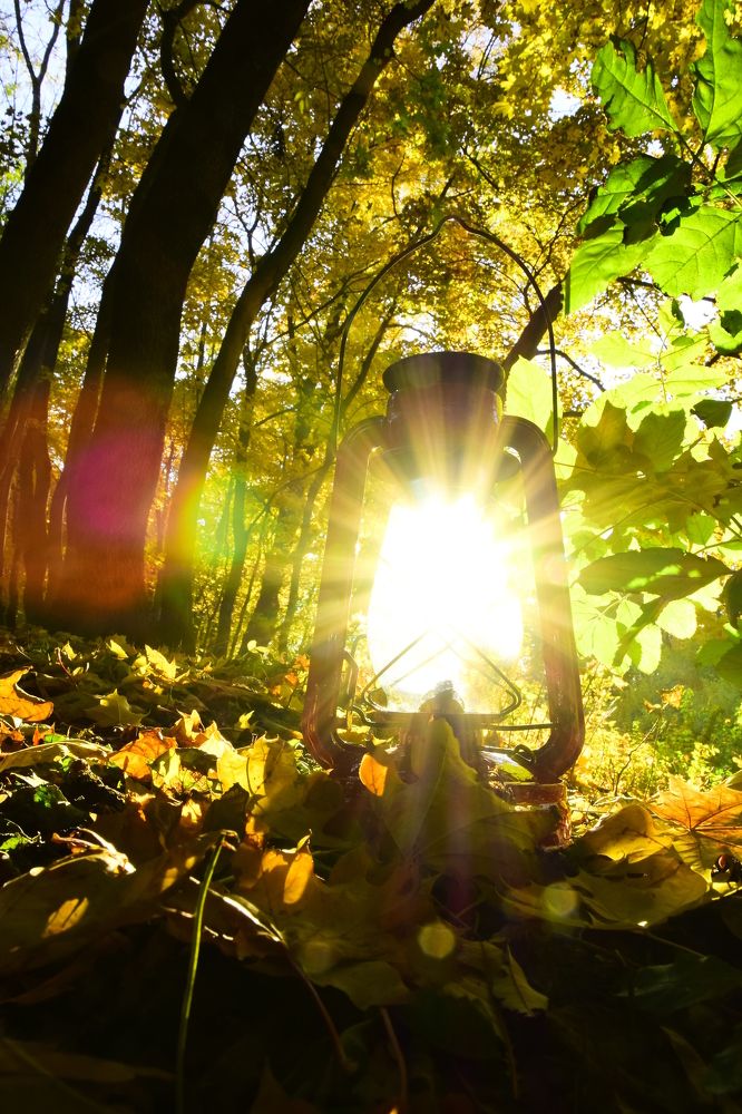 Photograph by Ольга Рыкова