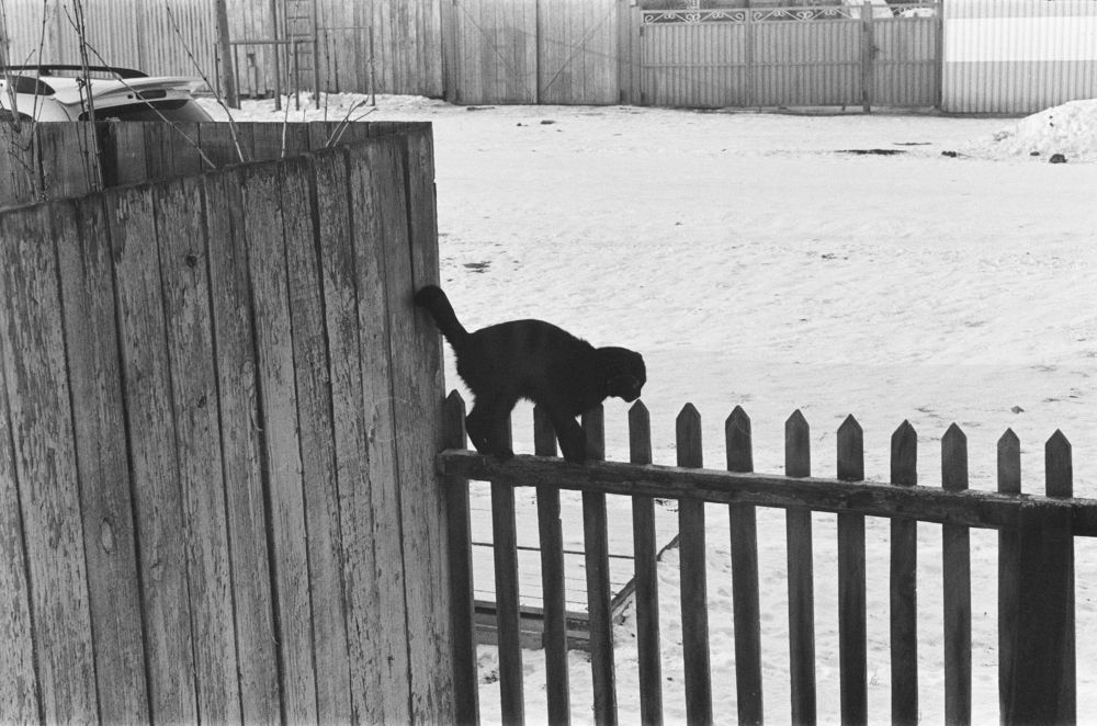 Photograph by Дмитрий Киреев