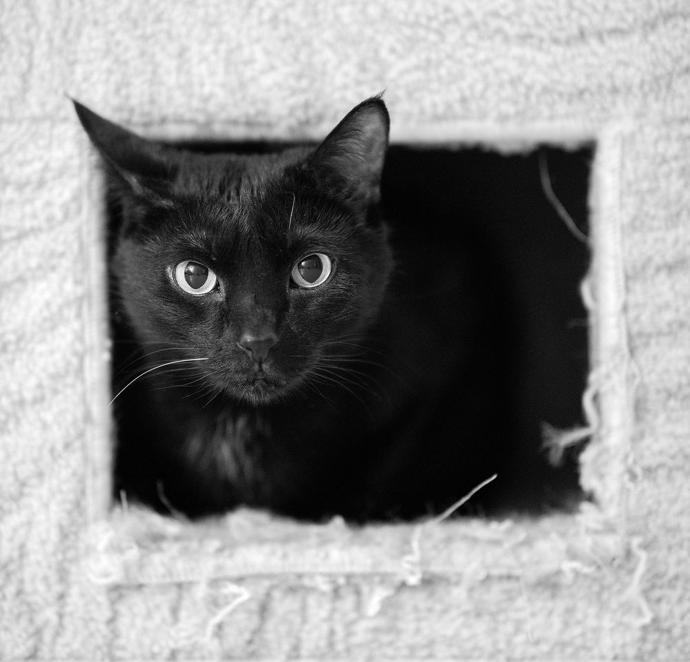 Photograph by Артем Макаров