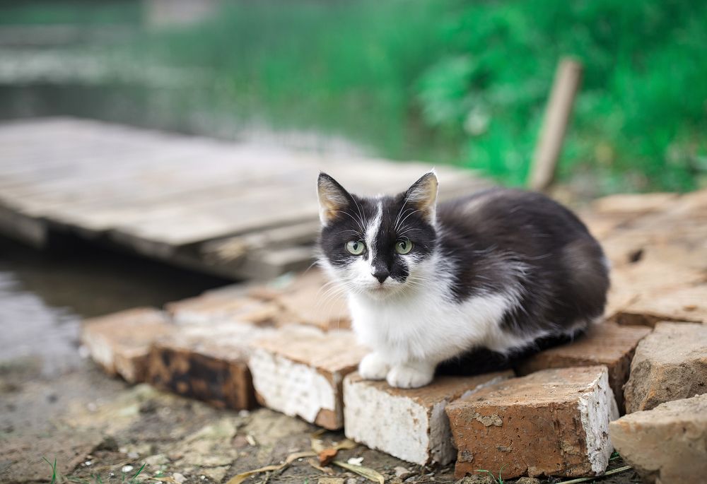 Photograph by Артем Макаров