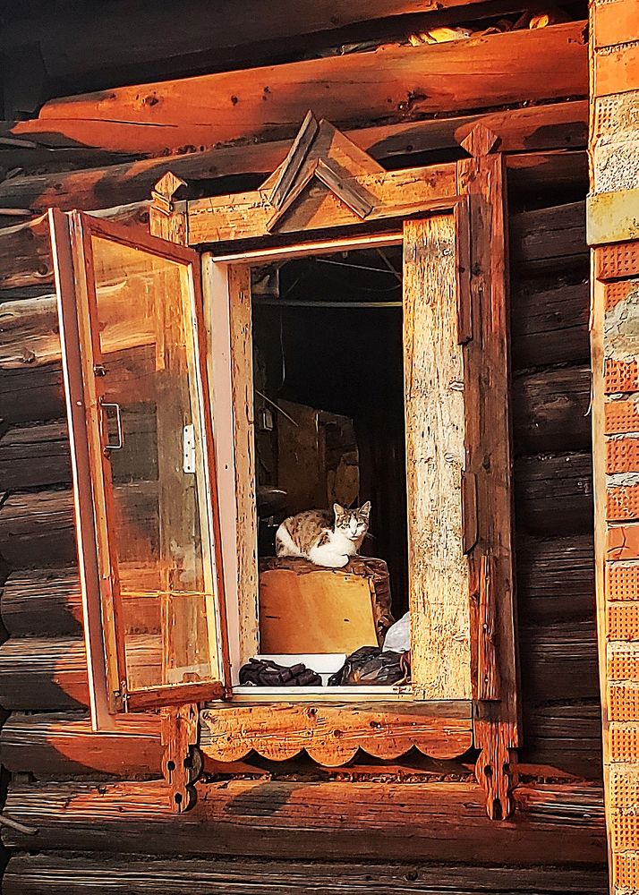 Photograph by Артем Макаров