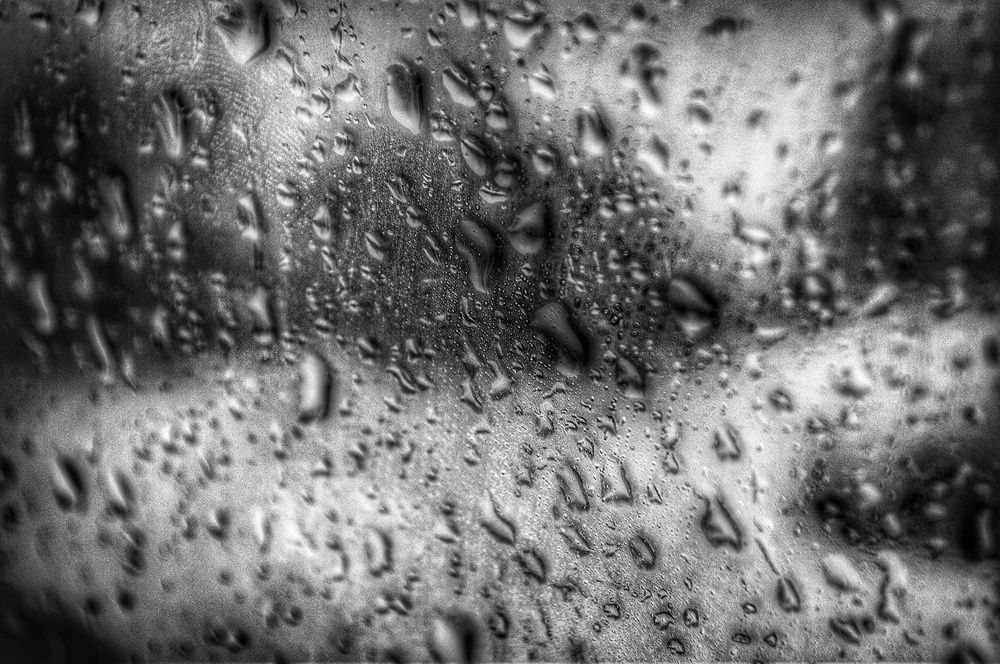 Photograph by Александр Лабутин