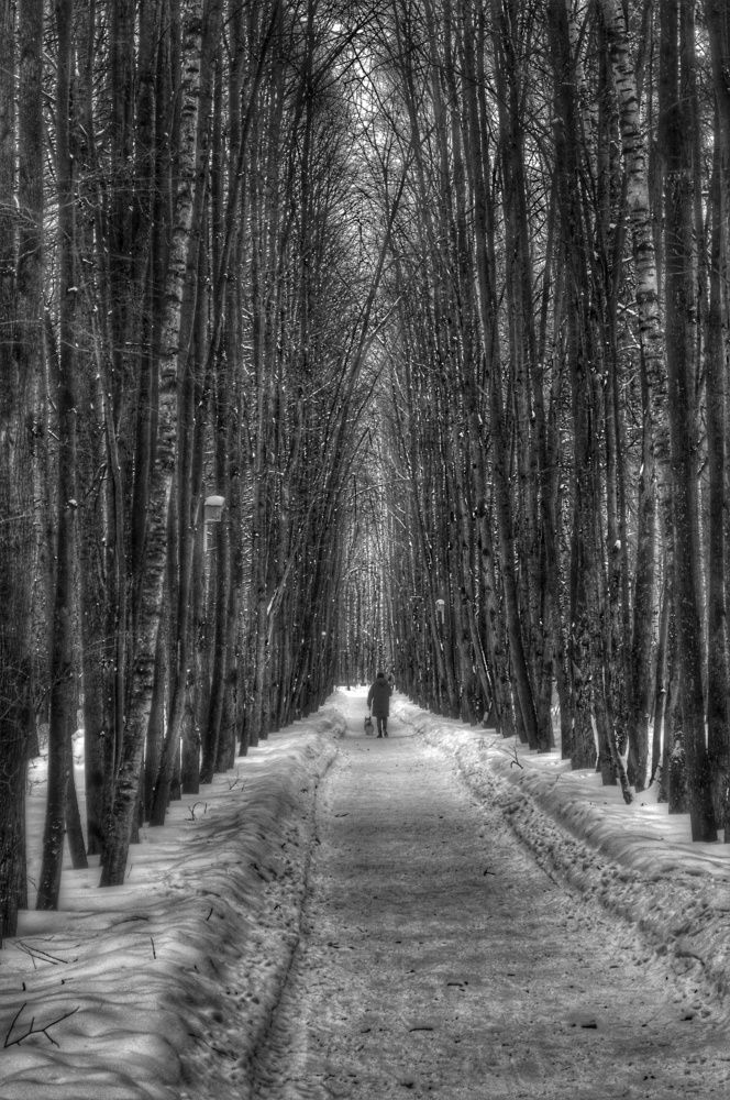 Photograph by Александр Лабутин