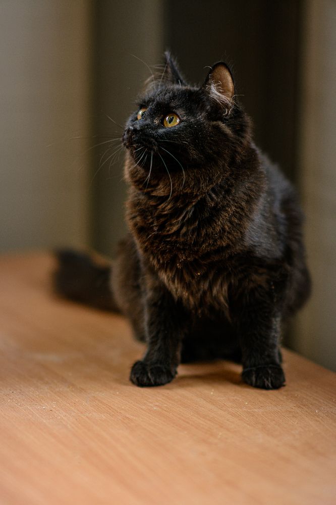 Photograph by Елена Берсенёва