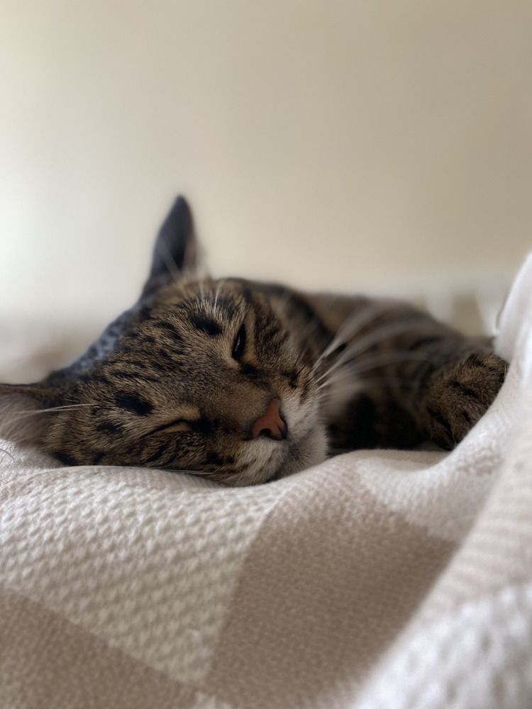 Photograph by Денис Сухов