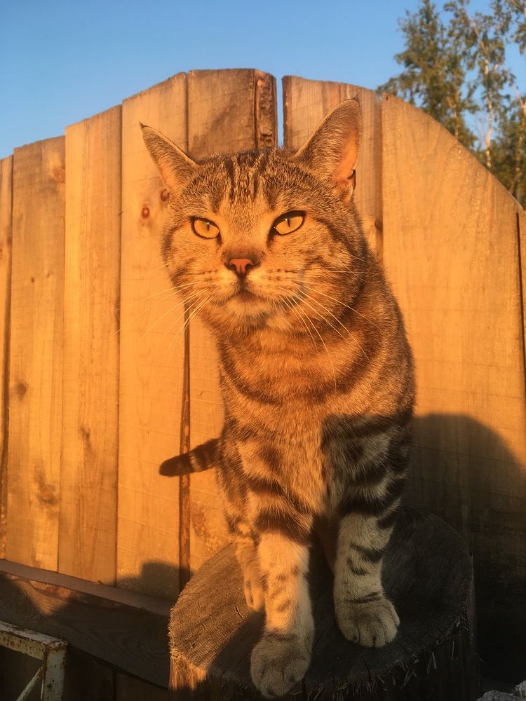 Фотография автора Nadezhda