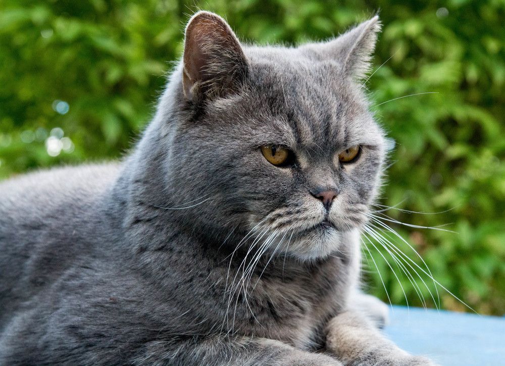 Photograph by Александр Трифанов