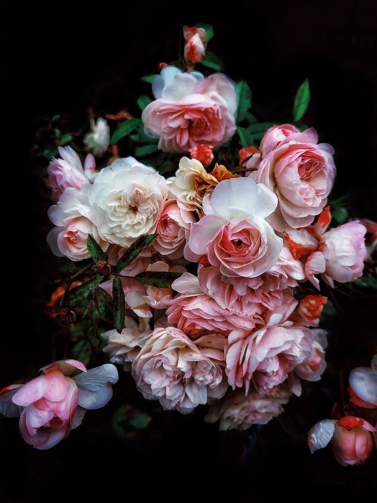 Photograph by Полина Черненко