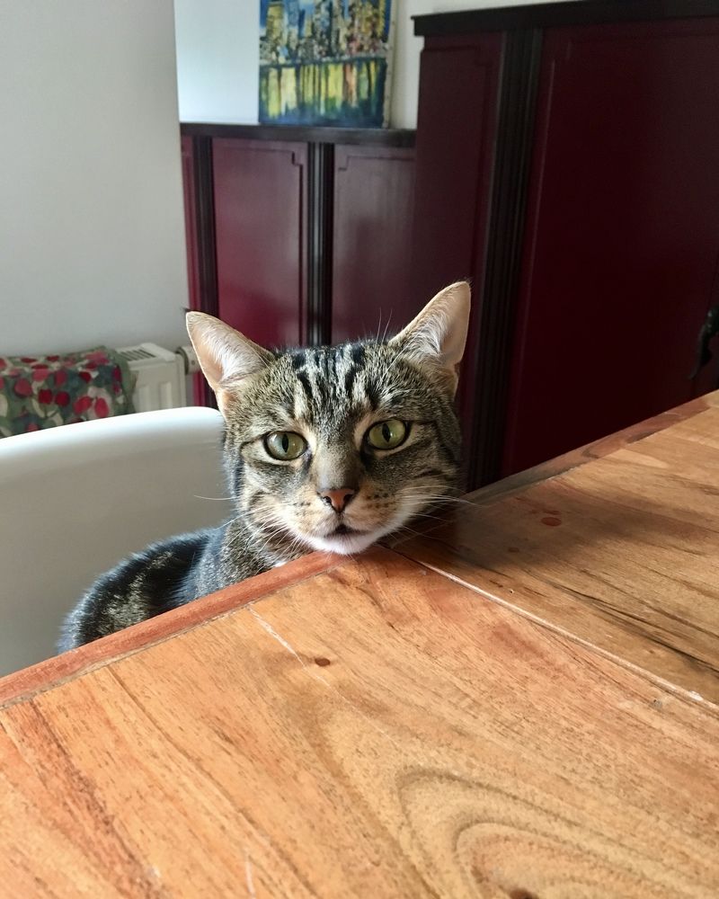 Фотография автора Nadezhda