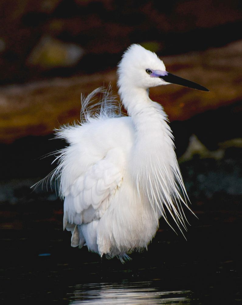 Photograph by Nishant Raj