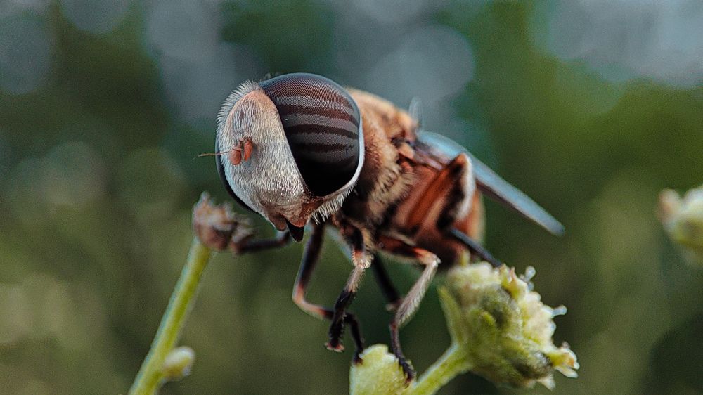 Photograph by Nishant Raj