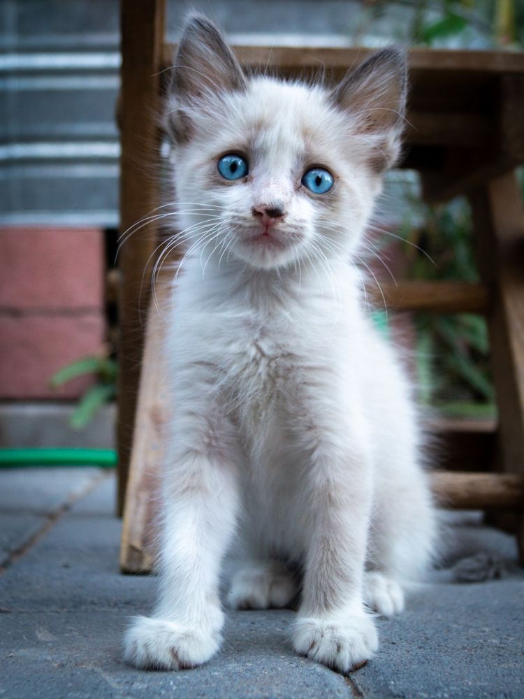 Photograph by Jose Martin Ceja Medina