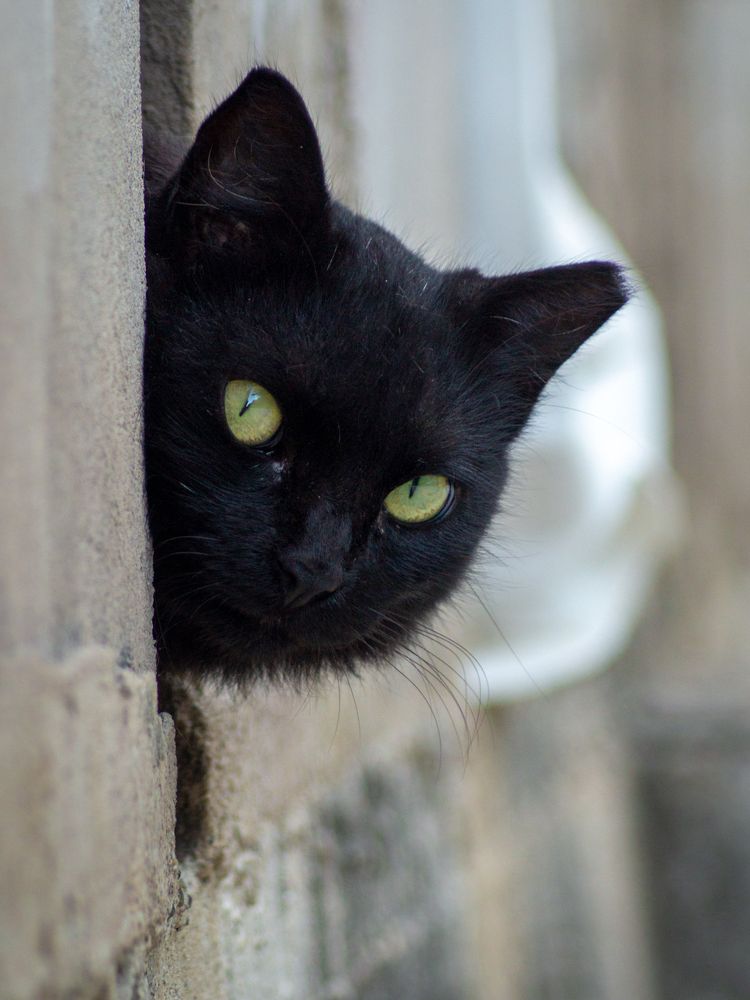 Photograph by Jose Martin Ceja Medina