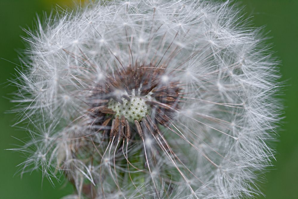 Photograph by Ольга Аблекова