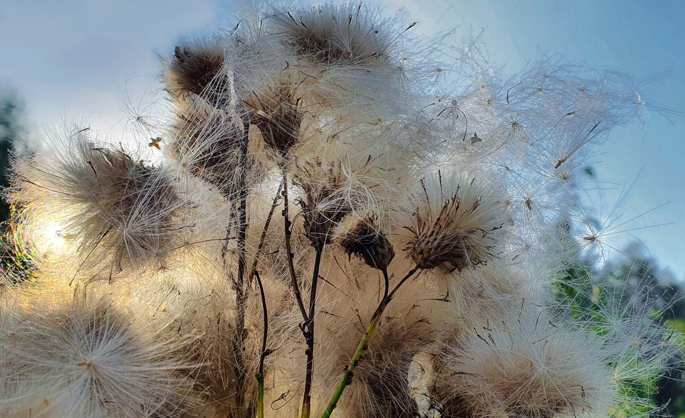 Photograph by Ольга Аблекова