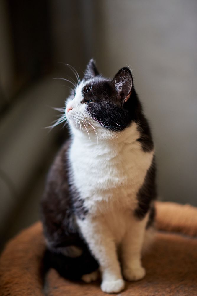 Photograph by Евгения Гловацкая