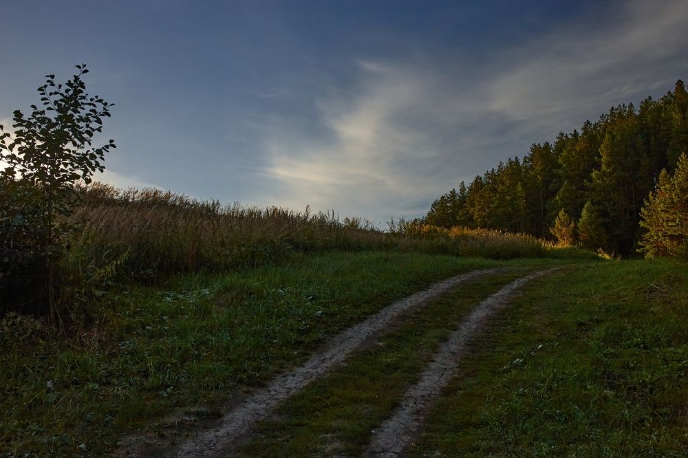 ВОТ И СОЛНЦЕ СЕЛО, ПОСЛЕДНИЙ ЛУЧ СКОЛЬЗНУЛ ПО ТРАВЕ
