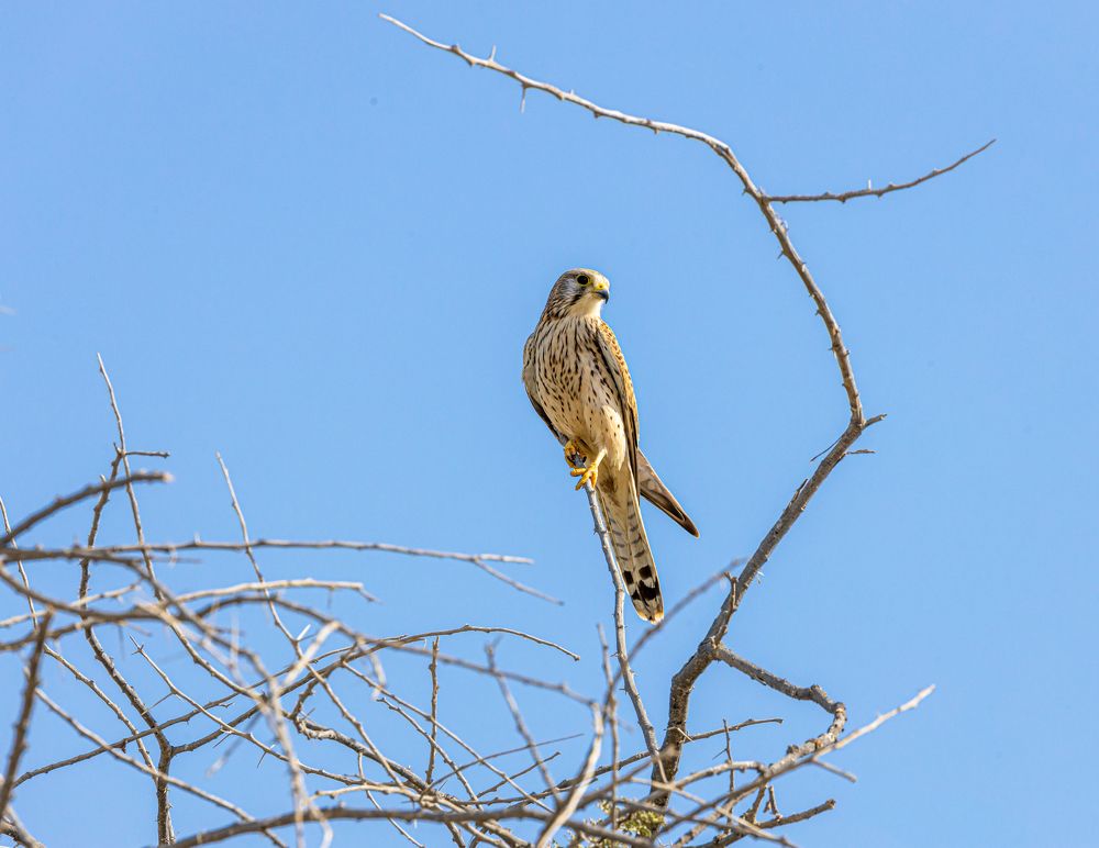 Photograph by Калинин Игорь