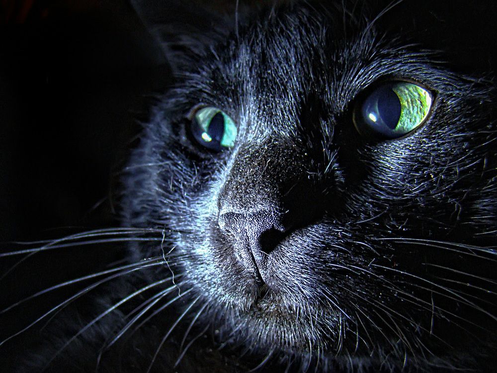 Photograph by Игорь Квочка