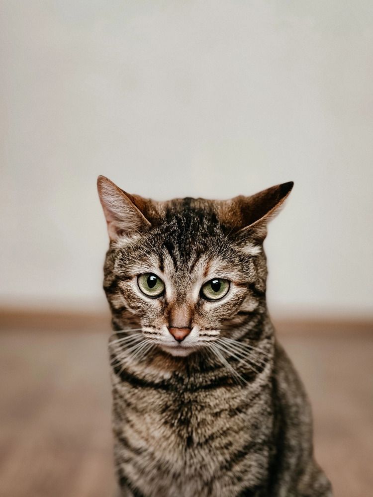 Photograph by Арина Бикчантаева