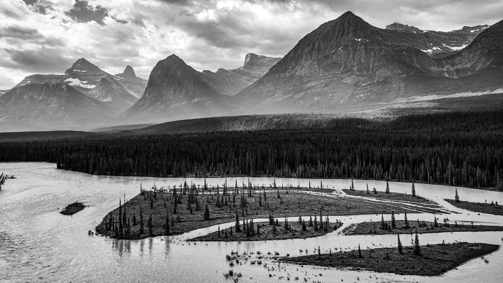 Photograph by Alexander Roizman